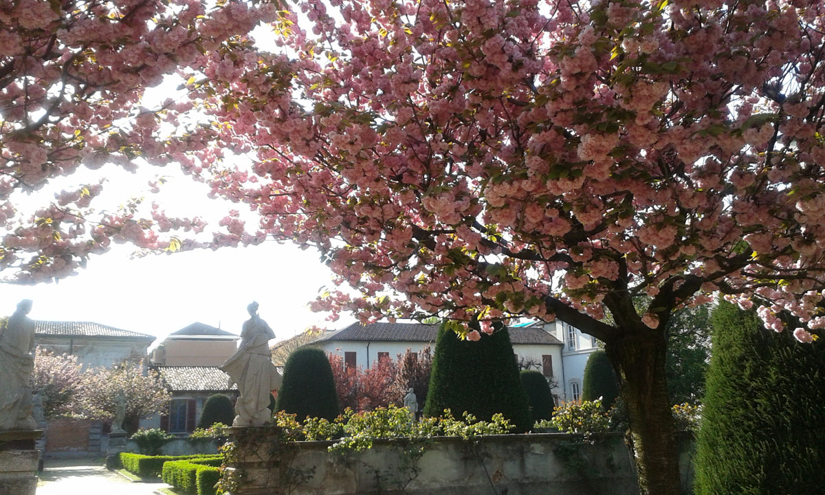 giardino in fiore e statue 700