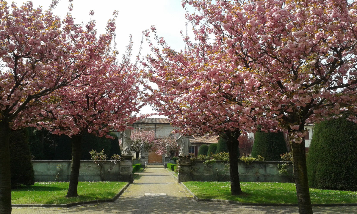 giardino in fiore